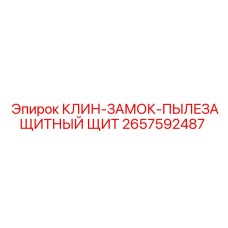 2657592487 КЛИН-ЗАМОК-ПЫЛЕЗАЩИТНЫЙ ЩИТ Epiroc