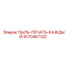 9170467120 ПЫЛЬ-ПЕЧАТЬ-КАЖДЫЙ Epiroc