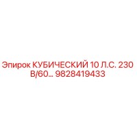 9828419433 КУБИЧЕСКИЙ 10 Л.С. 230 В/60… | Epiroc