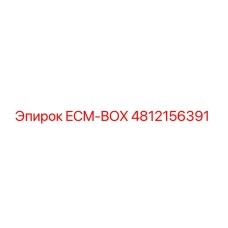 4812156391 ECM-BOX Epiroc