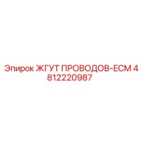 4812220987 ЖГУТ ПРОВОДОВ-ECM - Epiroc