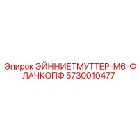 5730010477 ЭЙННИЕТМУТТЕР-M6-ФЛАЧКОПФ Epiroc