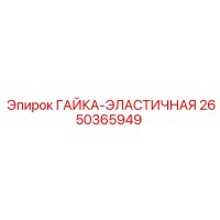 2650365949 ГАЙКА-ЭЛАСТИЧНАЯ Epiroc