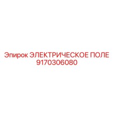 9170306080 ЭЛЕКТРИЧЕСКОЕ ПОЛЕ Epiroc