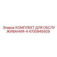 4700945929 КОМПЛЕКТ ДЛЯ ОБСЛУЖИВАНИЯ-4 Epiroc