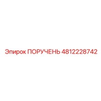 4812228742 ПОРУЧЕНЬ Epiroc