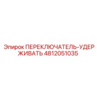 4812051035 ПЕРЕКЛЮЧАТЕЛЬ-УДЕРЖИВАТЕЛЬ Epiroc