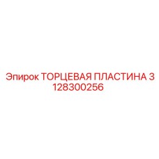 3128300256 ТОРЦЕВАЯ ПЛАСТИНА Epiroc