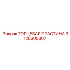3128300807 ТОРЦЕВАЯ ПЛАСТИНА Epiroc