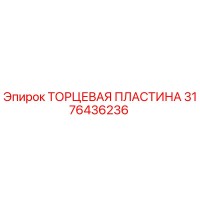3176436236 ТОРЦЕВАЯ ПЛАСТИНА Epiroc