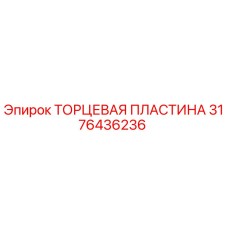 3176436236 ТОРЦЕВАЯ ПЛАСТИНА Epiroc