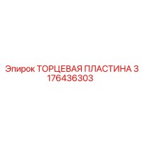 3176436303 ТОРЦЕВАЯ ПЛАСТИНА Epiroc