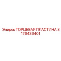 3176436401 ТОРЦЕВАЯ ПЛАСТИНА Epiroc