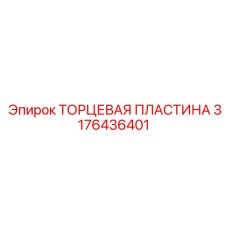 3176436401 ТОРЦЕВАЯ ПЛАСТИНА Epiroc