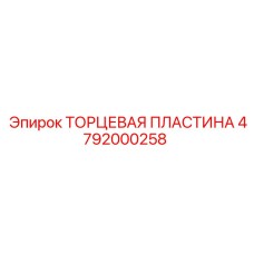 4792000258 ТОРЦЕВАЯ ПЛАСТИНА Эпирок