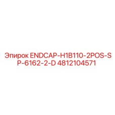 4812104571 ENDCAP-H1B110-2POS-SP-6162-2-D - Epiroc