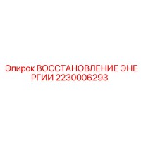 2230006293 ВОССТАНОВЛЕНИЕ ЭНЕРГИИ Epiroc