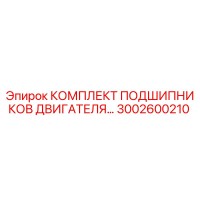 3002600210 КОМПЛЕКТ ПОДШИПНИКОВ ДВИГАТЕЛЯ Epiroc
