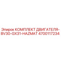 4700117234 КОМПЛЕКТ ДВИГАТЕЛЯ-BV30-GX31-HAZMAT Epiroc