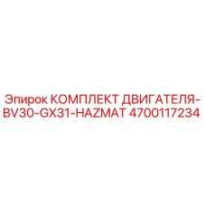 4700117234 КОМПЛЕКТ ДВИГАТЕЛЯ-BV30-GX31-HAZMAT Epiroc