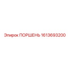 1613693200 ПОРШЕНЬ Epiroc