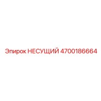 4700186664 НЕСУЩИЙ Epiroc