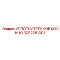 3092261001 УПЛОТНИТЕЛЬНОЕ КОЛЬЦО Эпирок
