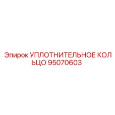95070603 УПЛОТНИТЕЛЬНОЕ КОЛЬЦО Эпирок