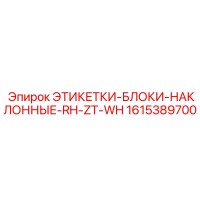 1615389700 ЭТИКЕТКИ-БЛОКИ-НАКЛОННЫЕ-RH-ZT-WH Epiroc