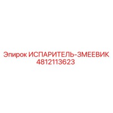 4812113623 ИСПАРИТЕЛЬ-ЗМЕЕВИК Epiroc