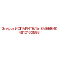 4812160598 ИСПАРИТЕЛЬ-ЗМЕЕВИК Epiroc