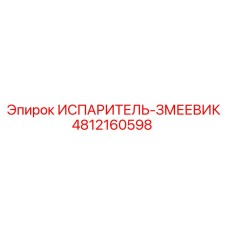 4812160598 ИСПАРИТЕЛЬ-ЗМЕЕВИК Epiroc