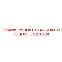 GS20070X ГРУППА EXH КАТАЛИТИЧЕСКАЯ Epiroc