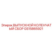 GS15865921 ВЫПУСКНОЙ КОЛЕНЧАТЫЙ СБОР Epiroc