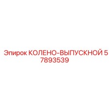 57893539 КОЛЕНО-ВЫПУСКНОЙ Epiroc