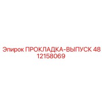 4812158069 ПРОКЛАДКА-ВЫПУСК Epiroc