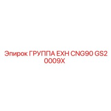 GS20009X ГРУППА EXH CNG90 Epiroc