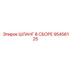 95456125 ШЛАНГ В СБОРЕ Epiroc
