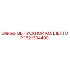 1621334400 ВЫПУСКНОЙ КОЛЛЕКТОР Эпирок