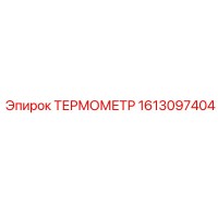 1613097404 ТЕРМОМЕТР Epiroc