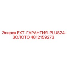4812159273 EXT-ГАРАНТИЯ-PLUS24-ЗОЛОТО Epiroc