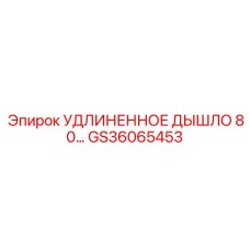 GS36065453 УДЛИНЕННОЕ ДЫШЛО 80… | Epiroc