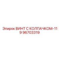 96703319 ВИНТ С КОЛПАЧКОМ-119 Epiroc