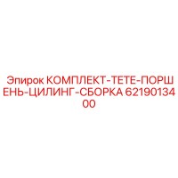 6219013400 КОМПЛЕКТ TETE ПОРШЕНЬ ЦИЛИНГ СБОРКА Epiroc