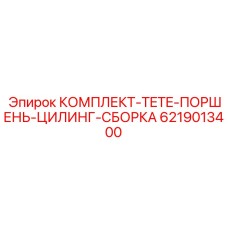 6219013400 КОМПЛЕКТ TETE ПОРШЕНЬ ЦИЛИНГ СБОРКА Epiroc