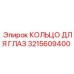 3215609400 КОЛЬЦО ДЛЯ ГЛАЗ Epiroc