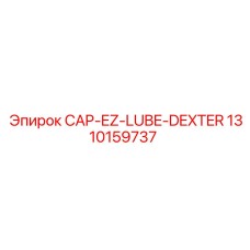 1310159737 CAP-EZ-LUBE-DEXTER Epiroc
