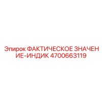 4700663119 ФАКТИЧЕСКОЕ ЗНАЧЕНИЕ-ИНДИК от Epiroc