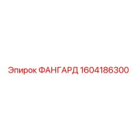 1604186300 ФАНГАРД Epiroc