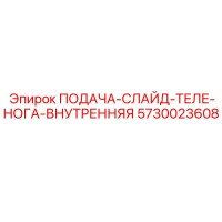 5730023608 ПОДАЧА-СЛАЙД-ТЕЛЕ-НОГА-ВНУТРЕННЯЯ Epiroc